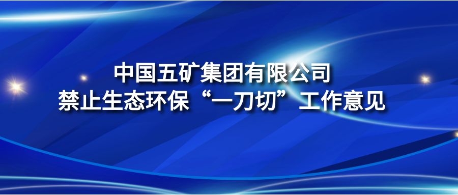 《中國(guó)五礦集團(tuán)有限公司禁止生態(tài)環(huán)保“一刀切”工作意見》